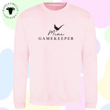 Load image into Gallery viewer, The pink mini sweatshirt
